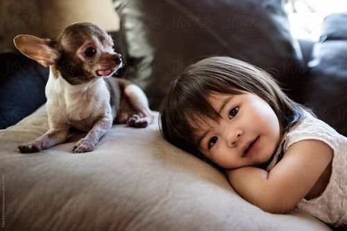 Lý do trẻ luôn sụt sịt, cảm cúm khi trời chuyển lạnh