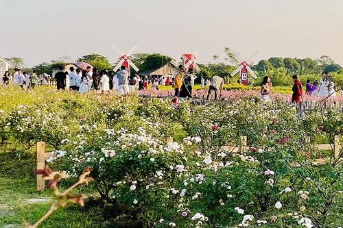 Nhộn nhịp thị trường du lịch Tết Giáp Thìn
