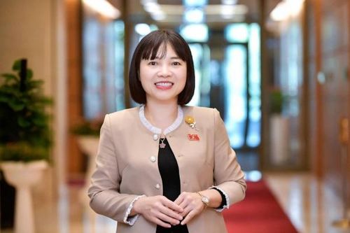 ĐBQH. Nguyễn Thị Việt Nga: 'Đòn bẩy' cho ngành Giáo dục từ cải cách tiền lương