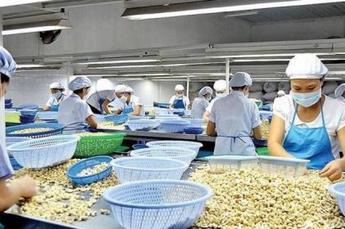 Doanh nghiệp cần cẩn trọng khi xuất khẩu sang Tây Ban Nha