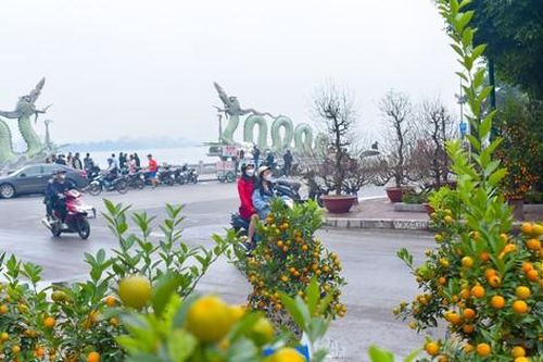 Đào, quất len lỏi xuống phố Hà Nội chào Xuân Giáp Thìn