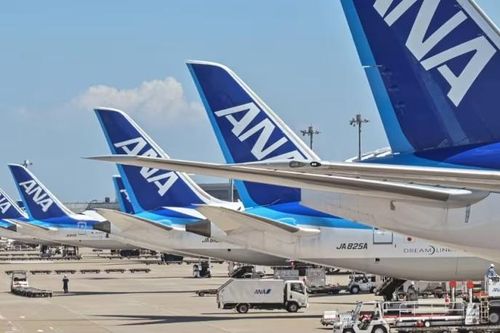 Máy bay Nhật Bản quay đầu vì hành khách cắn tiếp viên hàng không