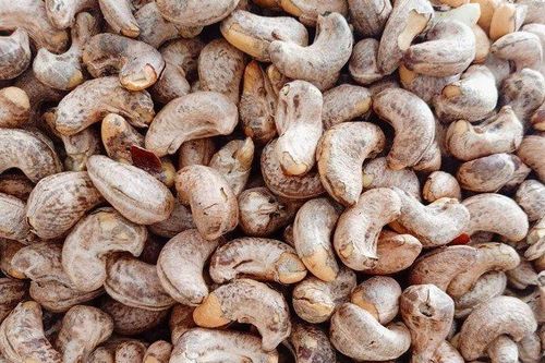Xuất khẩu điều lập kỷ lục mới