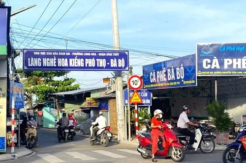 Làng hoa trăm tuổi Cần Thơ chuẩn bị đón Tết