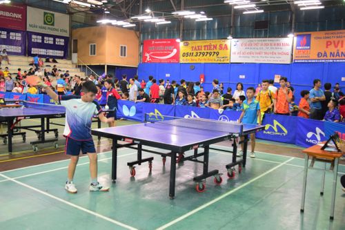 Hiệu quả hoạt động của các liên đoàn thể thao