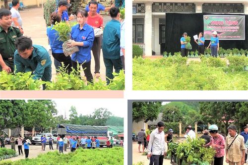 Nhân rộng màu xanh cho rừng