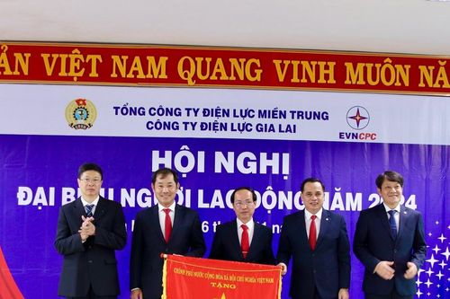 Công ty Điện lực Gia Lai đón nhận cờ thi đua của Chính phủ
