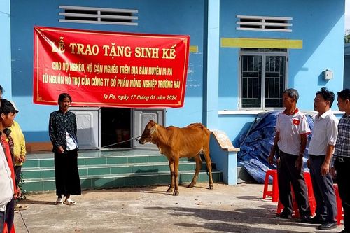 Trao 10 con bò sinh sản cho các hộ nghèo tại xã Kim Tân và Pờ Tó