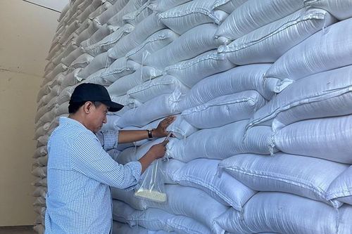 15 tỉnh đề nghị cấp gần 14.200 tấn gạo cứu đói dịp Tết Nguyên đán và giáp hạt năm 2024