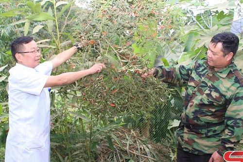 Chăm sóc, bảo vệ sức khỏe cho nhân dân