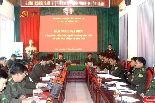 Triển khai nhiệm vụ công tác quản lý, bảo vệ rừng năm 2024