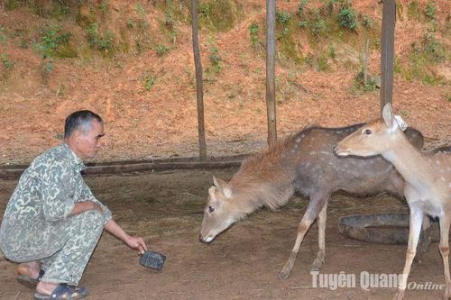 Tiên phong phát triển xanh