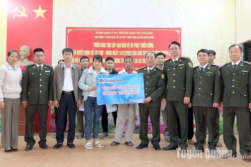 99 hộ nghèo Sơn Dương được trợ cấp gạo phát triển rừng