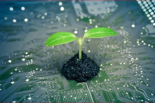 5 công nghệ xanh tiếp tục lên ngôi trong năm 2024