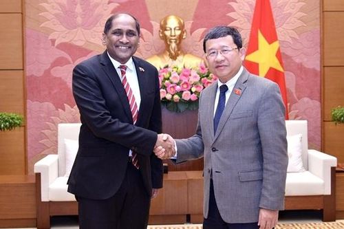 Chủ nhiệm Ủy ban Đối ngoại Vũ Hải Hà tiếp Đại sứ Singapore tại Việt Nam