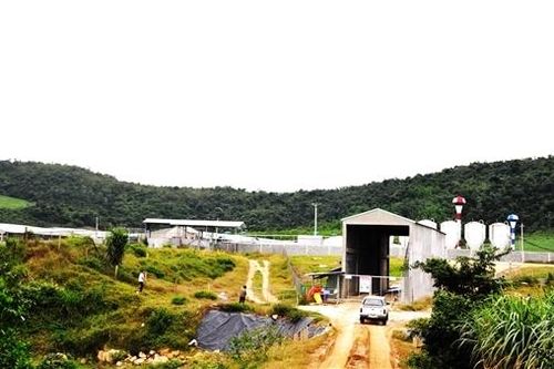 Phản hồi bài 'Dân bức xúc vì ô nhiễm môi trường từ trại chăn nuôi heo'