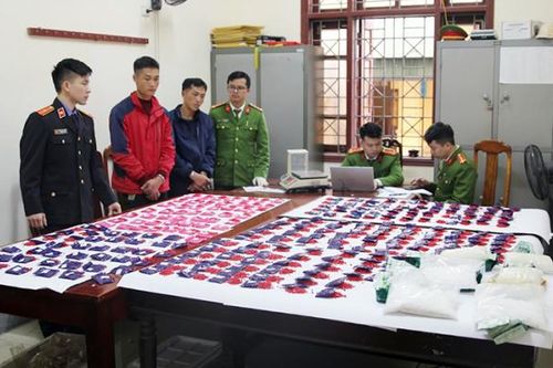 Từ Kỳ Sơn, xuyên đêm mang cả yến ma túy ra 'thăm' Thủ đô