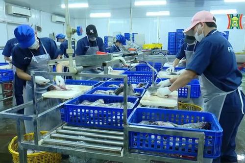 VASEP kiến nghị để tăng năng lực ngành thủy sản