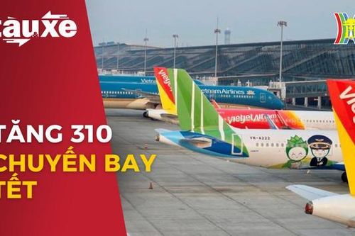Hàng không tiếp tục tăng 310 chuyến bay Tết| Bản tin Tàu và Xe | 17/01/2024