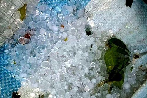 Lai Châu: Mưa đá bất thường kéo dài 15 phút