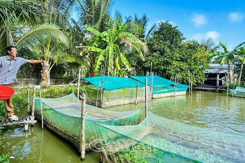 Làm giàu nhờ chuyển đổi sản xuất phù hợp