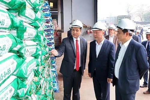Supe Lâm Thao tiếp nối truyền thống 'đỏ'