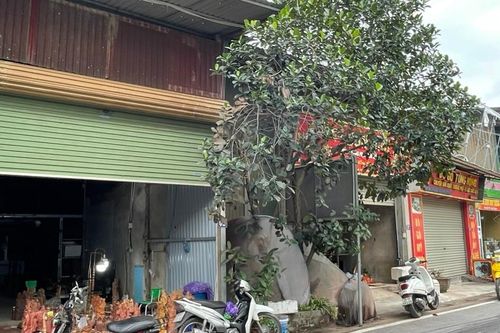 Thường Tín sẽ cưỡng chế thu hồi đất của 2 cá nhân ở xã Tiền Phong
