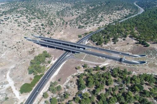 Vì một Israel xanh