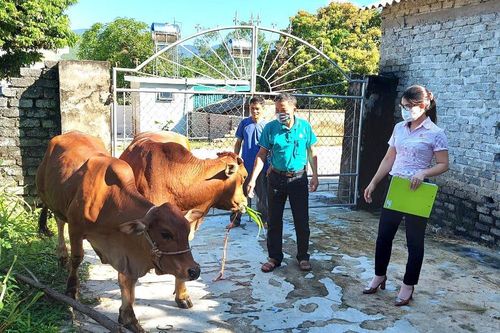 Tín dụng chính sách mang cuộc sống no ấm, hạnh phúc đến với người nghèo
