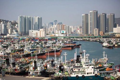 Doanh nghiệp Nhật Bản, Trung Quốc, Hàn Quốc lạc quan về triển vọng kinh tế 2024