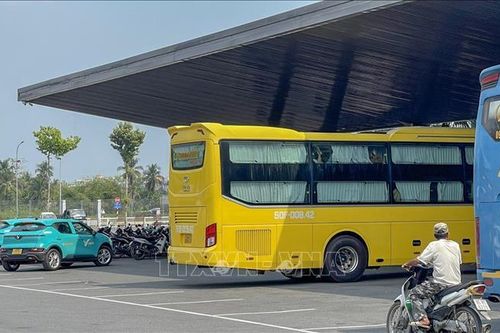 Sở GTVT Cần Thơ không cấp phép cho nhà xe Thành Bưởi hoạt động trở lại