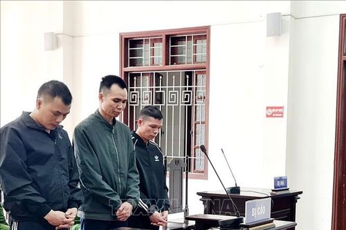 Bản án nghiêm khắc cho các đối tượng mua bán trái phép chất ma túy