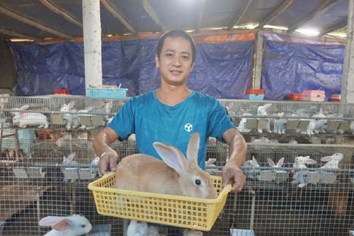 Loay hoay chưa tìm được việc, anh nông dân bèn nuôi con vật 'khó tính' nào ngờ có 180 triệu đồng/năm