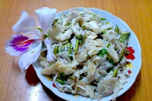 Măng đắng nộm hoa ban: Món đặc sản ngon khó cưỡng của núi rừng Tây Bắc