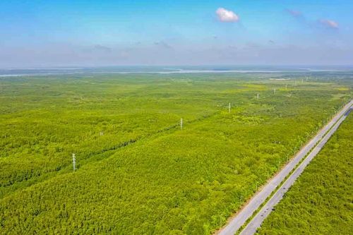 Việt Nam - Canada chia sẻ mục tiêu chống biến đổi khí hậu