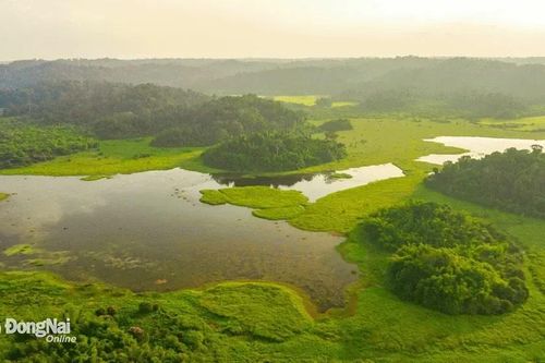 Khu Bàu Sấu của Vườn quốc gia Cát Tiên được công nhận top 7 điểm du lịch sinh thái Việt Nam năm 2023