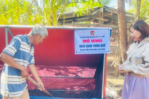 Nông dân chung tay xử lý rác thải