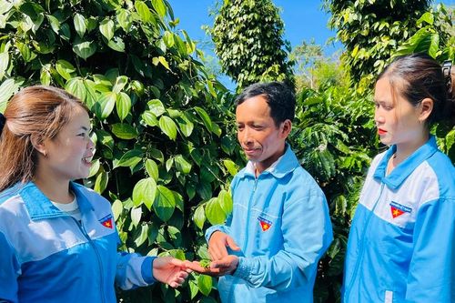 Gia Lai có 110 làng thanh niên '2 không, 2 có'
