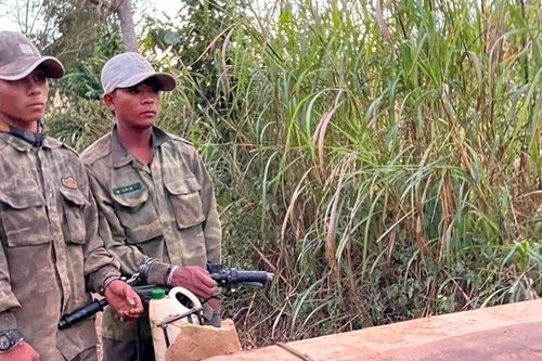 Kông Chro: Tạm giữ 5 đối tượng khai thác, vận chuyển lâm sản trái phép