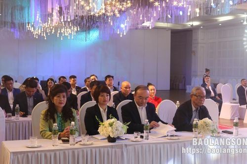 Hội Doanh nhân trẻ tỉnh tổng kết hoạt động năm 2023