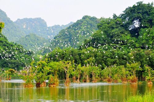 Vườn chim Thung Nham, Cố Viên Lầu (Ninh Bình) có trong 'Top 7 Ấn tượng Việt Nam 2023'