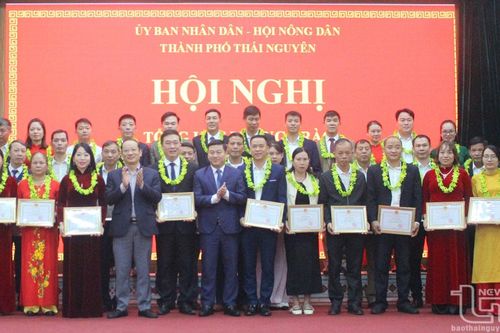 Gần 8.500 lượt hộ nông dân đạt danh hiệu sản xuất, kinh doanh giỏi
