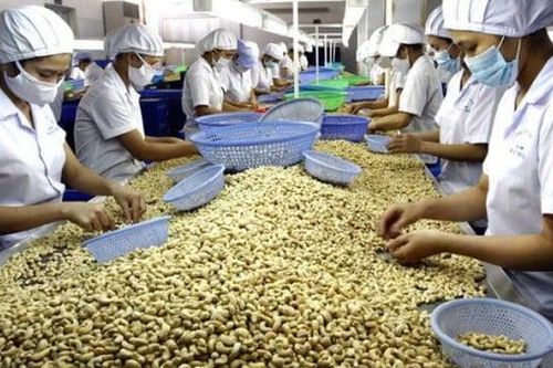 Cảnh báo doanh nghiệp cẩn trọng khi xuất khẩu sang Tây Ban Nha