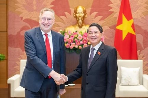 Phó Chủ tịch Quốc hội Nguyễn Đức Hải tiếp Chủ tịch Ủy ban Thương mại quốc tế của Nghị viện châu Âu