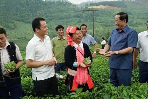 'Mắc phải gỡ và gỡ đến cùng'