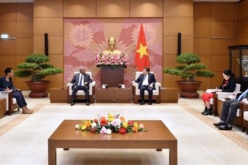 Chủ nhiệm Ủy ban Đối ngoại Vũ Hải Hà tiếp Đại sứ Mozambique tại Việt Nam