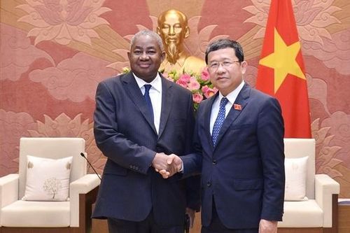 Chủ nhiệm Ủy ban Đối ngoại Vũ Hải Hà tiếp Đại sứ Mozambique tại Việt Nam