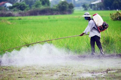 Gỡ vướng để HTX tăng tỷ lệ sử dụng thuốc bảo vệ thực vật sinh học
