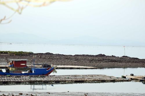 Khi bãi triều bị lấn chiếm