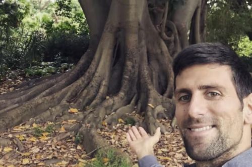 Bất ngờ gây sốt vì 'mối quan hệ đặc biệt' với Djokovic